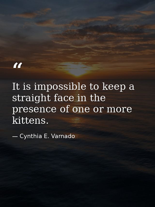 It is impossible to keep a straight face in the presence of one or more kittens. — Cynthia E. Varnado