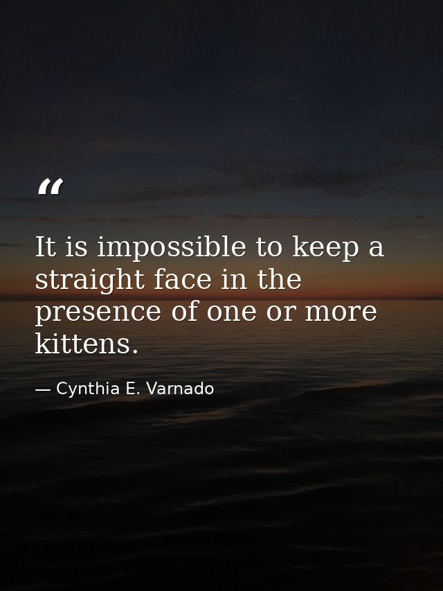 It is impossible to keep a straight face in the presence of one or more kittens. — Cynthia E. Varnado