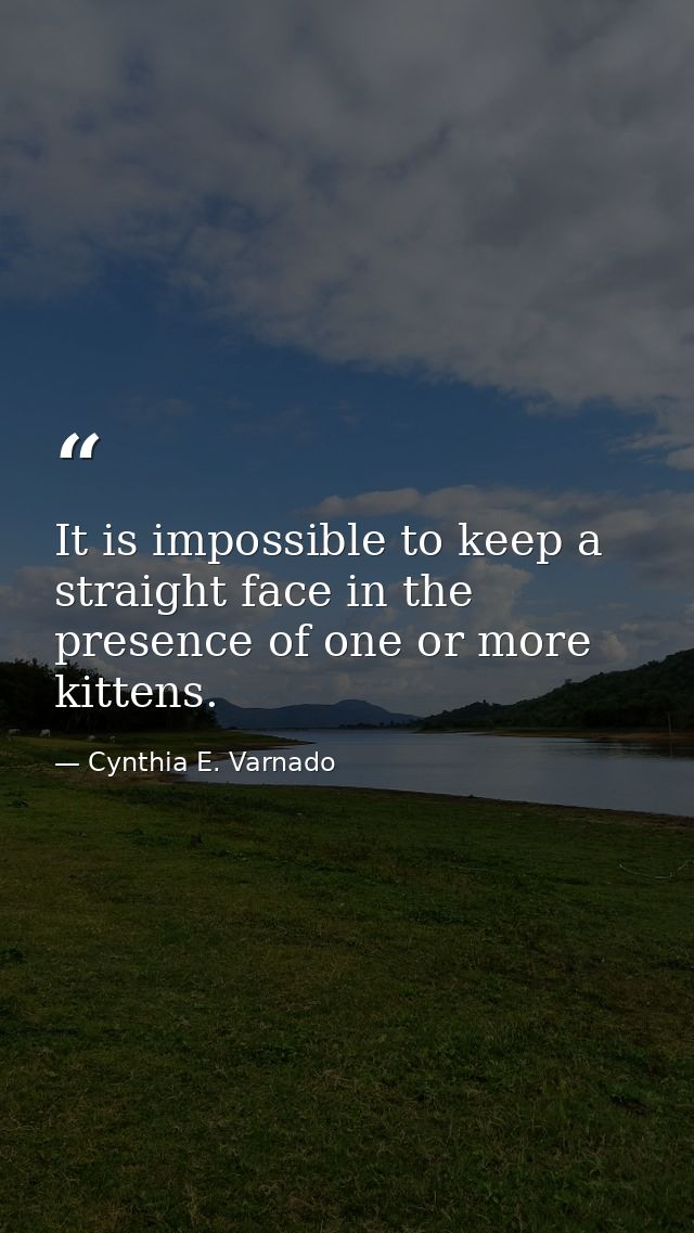It is impossible to keep a straight face in the presence of one or more kittens. — Cynthia E. Varnado