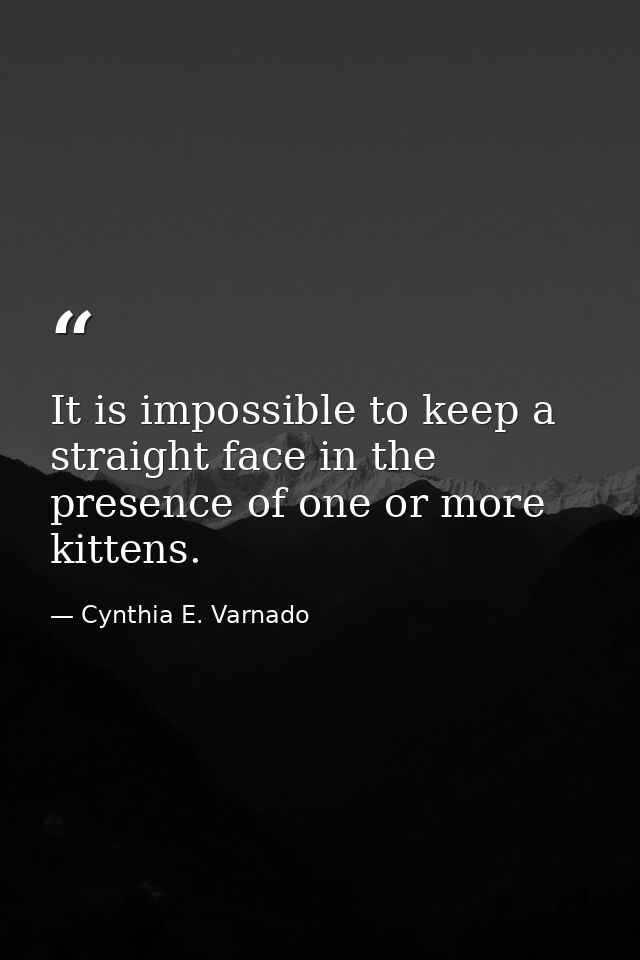 It is impossible to keep a straight face in the presence of one or more kittens. — Cynthia E. Varnado