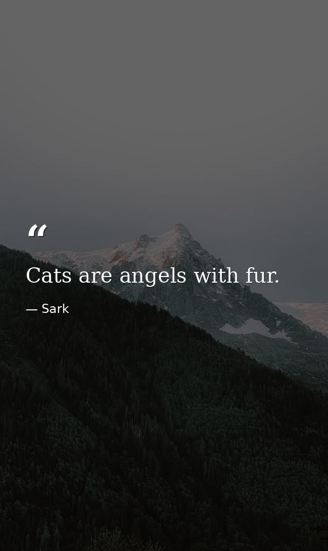 Cats are angels with fur. — Sark