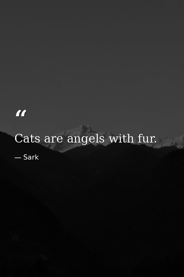 Cats are angels with fur. — Sark