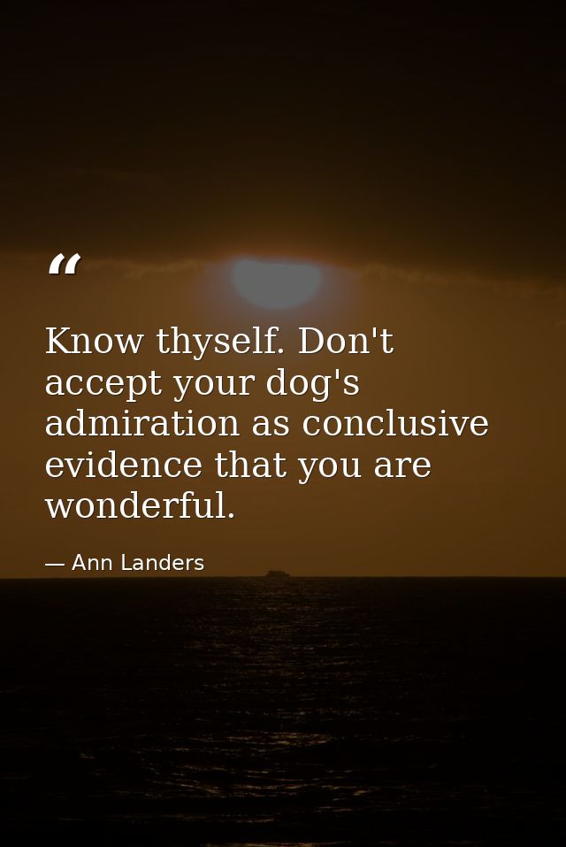 Know thyself. Don't accept your dog's admiration as conclusive evidence that you are wonderful. — Ann Landers