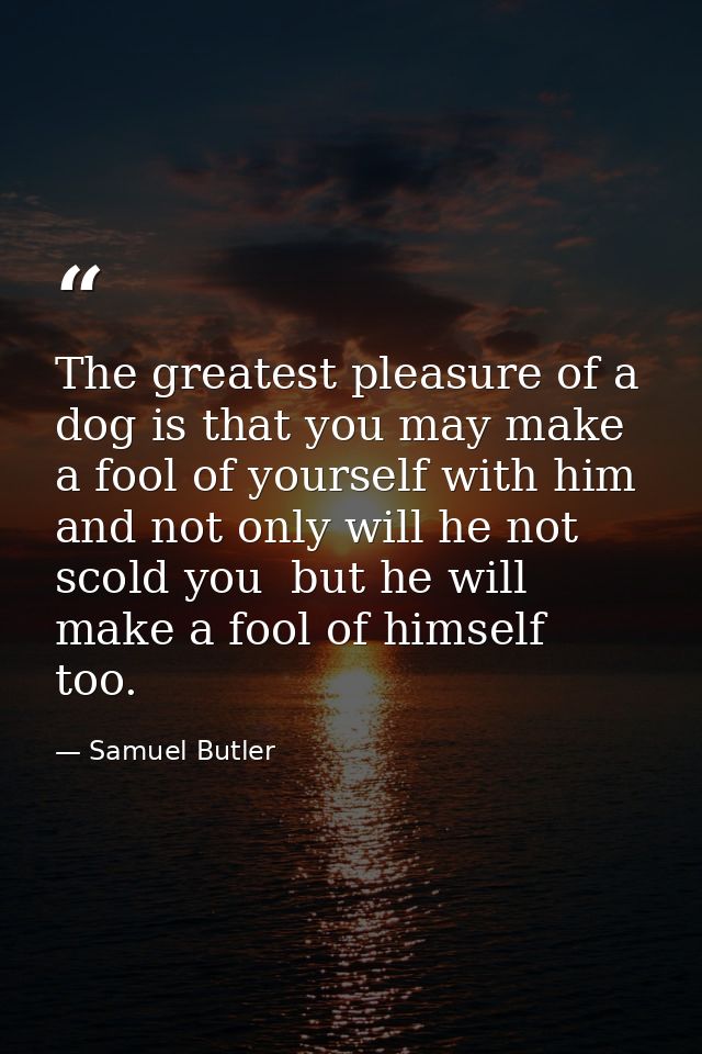 The greatest pleasure of a dog is that you may make a fool of yourself with him  and not only will he not scold you  but — Samuel Butler