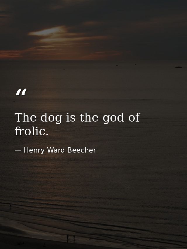 The dog is the god of frolic. — Henry Ward Beecher