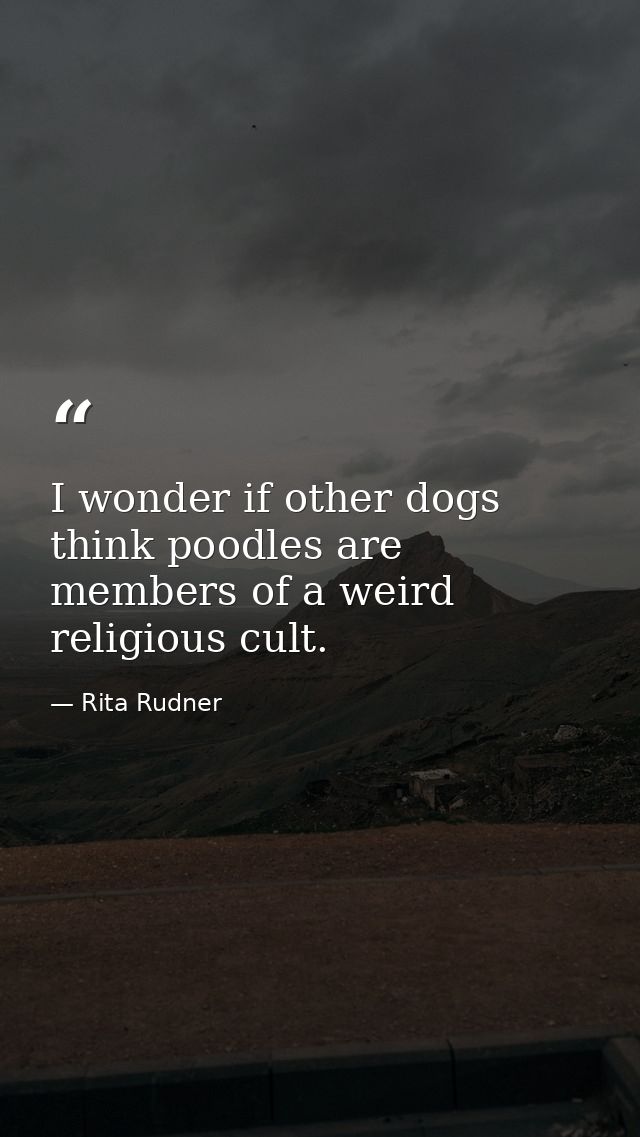 I wonder if other dogs think poodles are members of a weird religious cult. — Rita Rudner