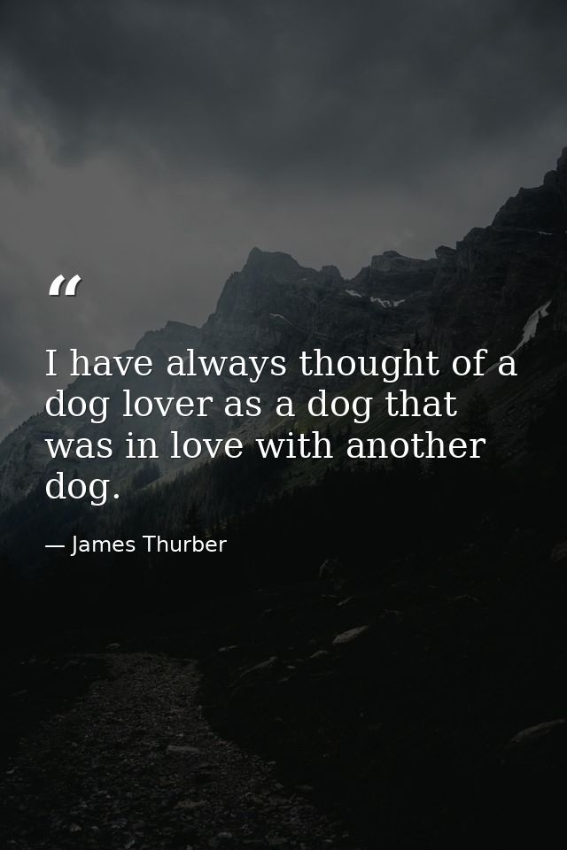 I have always thought of a dog lover as a dog that was in love with another dog. — James Thurber
