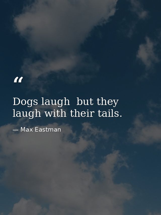Dogs laugh  but they laugh with their tails. — Max Eastman