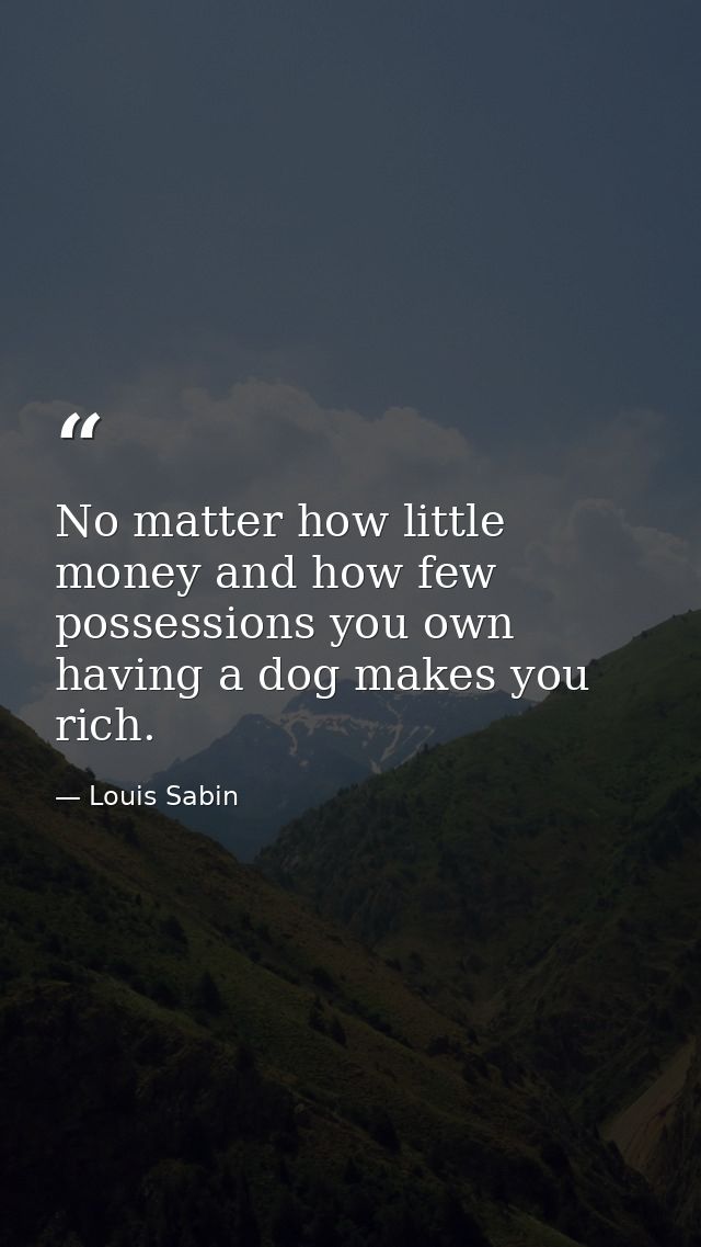 No matter how little money and how few possessions you own  having a dog makes you rich. — Louis Sabin