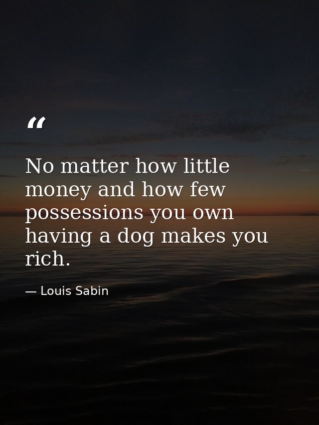 No matter how little money and how few possessions you own  having a dog makes you rich. — Louis Sabin