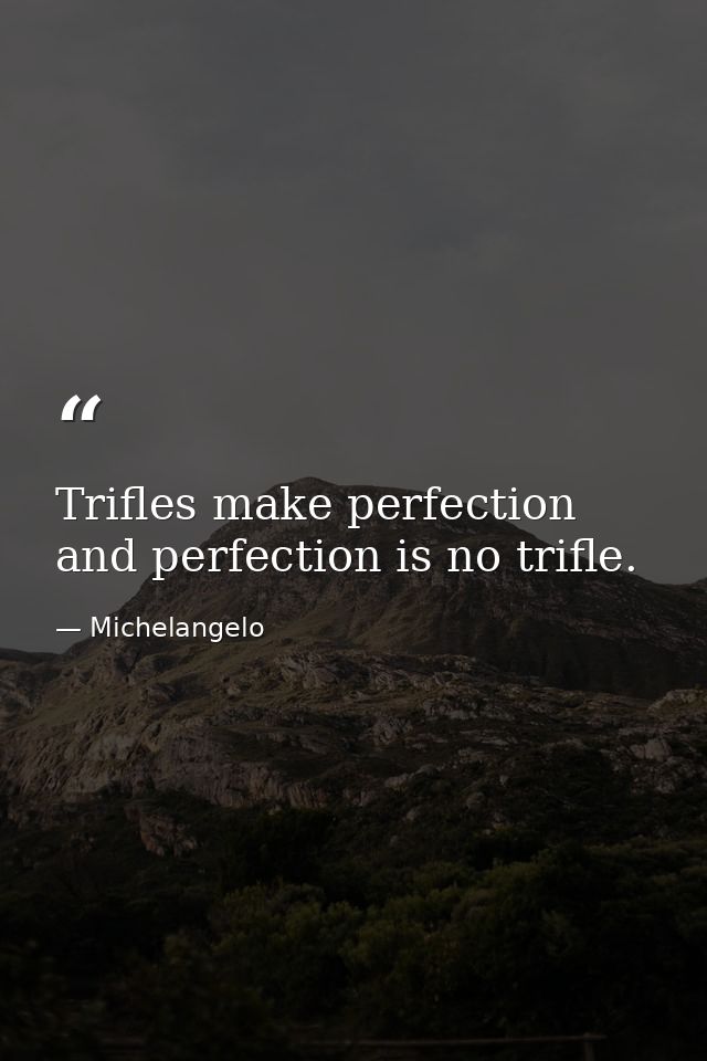 Trifles make perfection  and perfection is no trifle. — Michelangelo