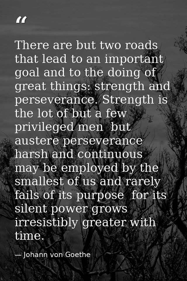 There are but two roads that lead to an important goal and to the doing of great things: strength and perseverance. Stre — Johann von Goethe