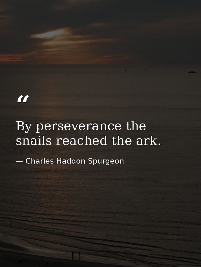By perseverance the snails reached the ark. — Charles Haddon Spurgeon
