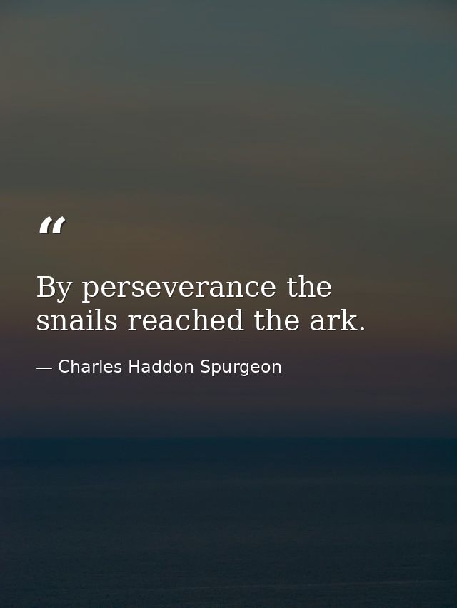 By perseverance the snails reached the ark. — Charles Haddon Spurgeon