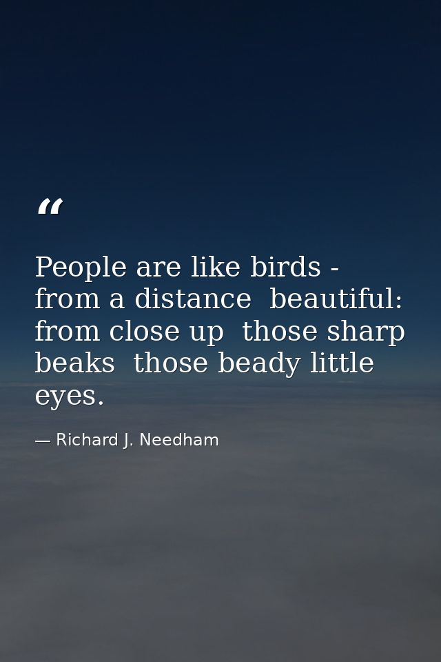 People are like birds - from a distance  beautiful: from close up  those sharp beaks  those beady little eyes. — Richard J. Needham