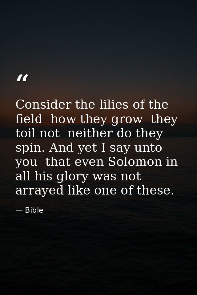 Consider the lilies of the field  how they grow  they toil not  neither do they spin. And yet I say unto you  that even  — Bible