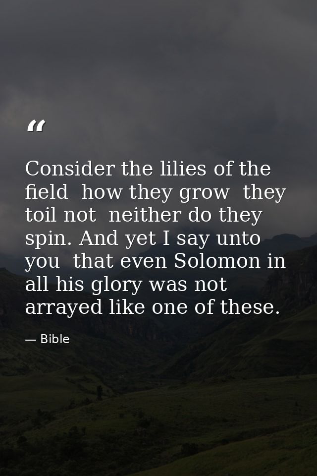 Consider the lilies of the field  how they grow  they toil not  neither do they spin. And yet I say unto you  that even  — Bible