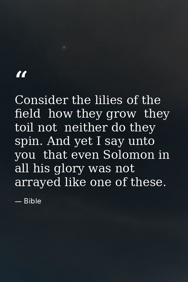 Consider the lilies of the field  how they grow  they toil not  neither do they spin. And yet I say unto you  that even  — Bible