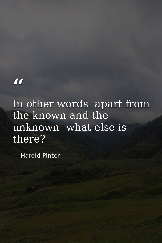 In other words  apart from the known and the unknown  what else is there? — Harold Pinter