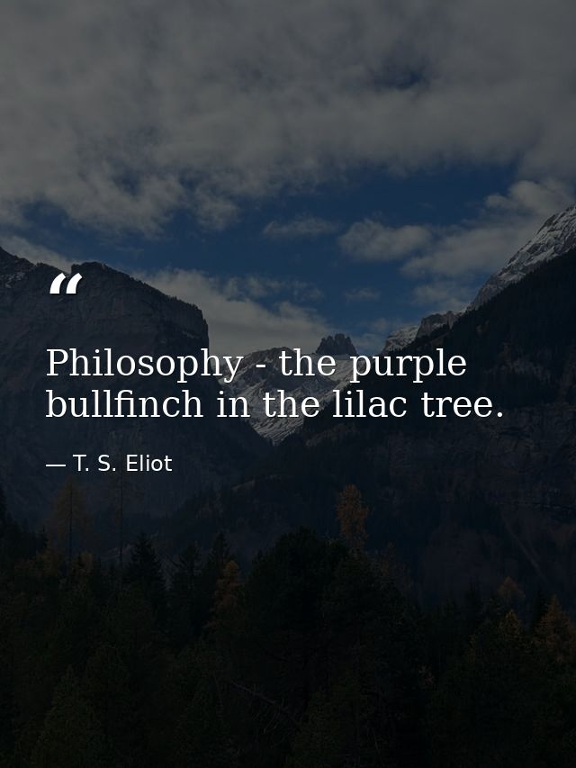 Philosophy - the purple bullfinch in the lilac tree. — T. S. Eliot
