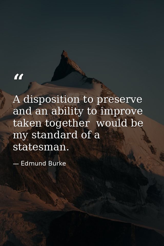 A disposition to preserve  and an ability to improve  taken together  would be my standard of a statesman. — Edmund Burke
