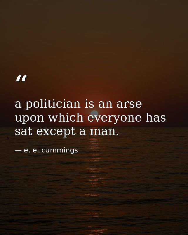 a politician is an arse upon which everyone has sat except a man. — e. e. cummings