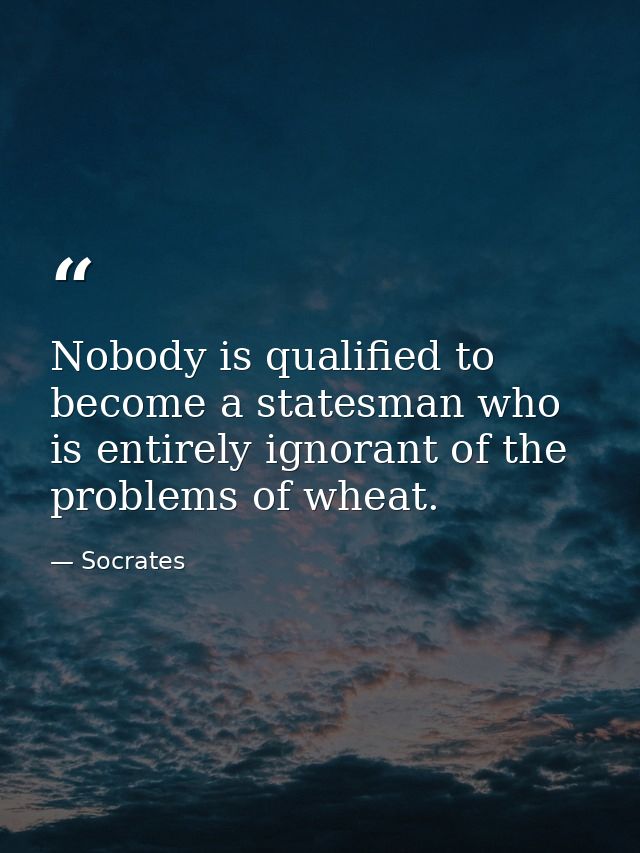 Nobody is qualified to become a statesman who is entirely ignorant of the problems of wheat. — Socrates