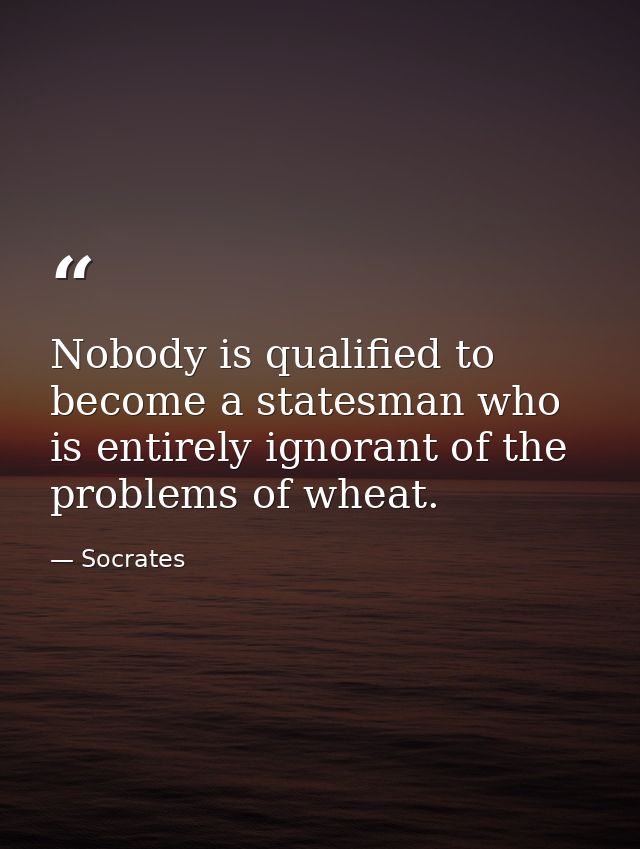 Nobody is qualified to become a statesman who is entirely ignorant of the problems of wheat. — Socrates
