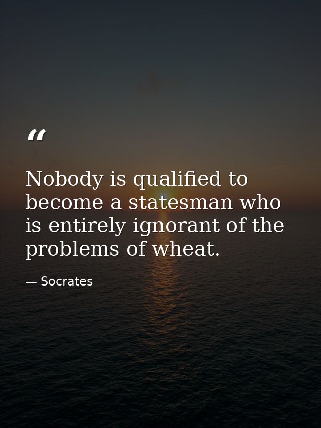 Nobody is qualified to become a statesman who is entirely ignorant of the problems of wheat. — Socrates