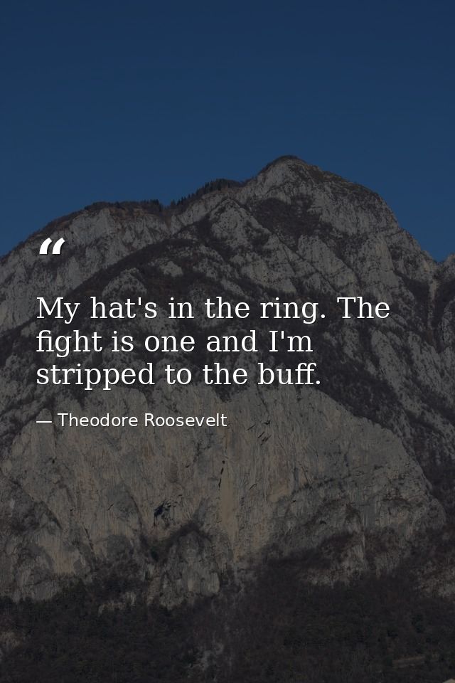 My hat's in the ring. The fight is one and I'm stripped to the buff. — Theodore Roosevelt