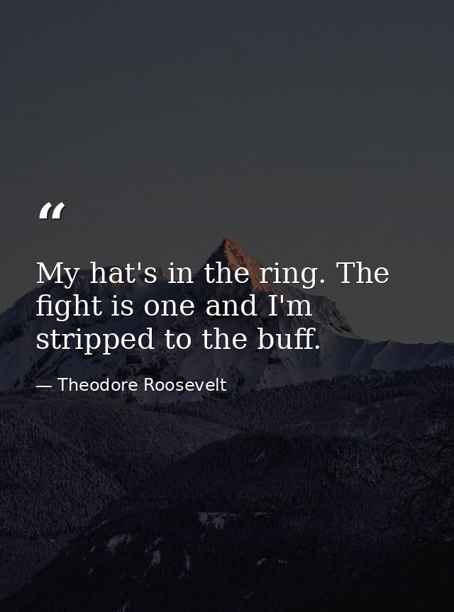 My hat's in the ring. The fight is one and I'm stripped to the buff. — Theodore Roosevelt
