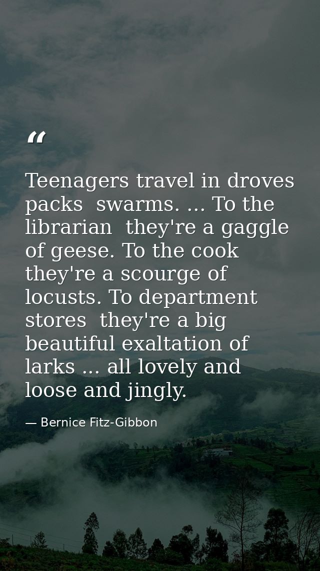 Teenagers travel in droves  packs  swarms. ... To the librarian  they're a gaggle of geese. To the cook  they're a scour — Bernice Fitz-Gibbon