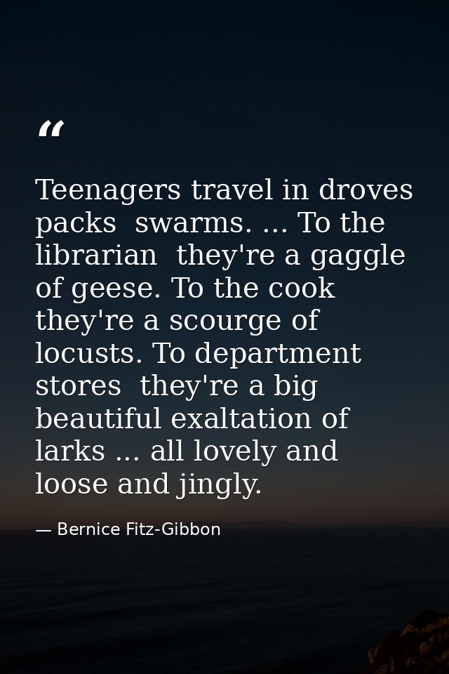 Teenagers travel in droves  packs  swarms. ... To the librarian  they're a gaggle of geese. To the cook  they're a scour — Bernice Fitz-Gibbon
