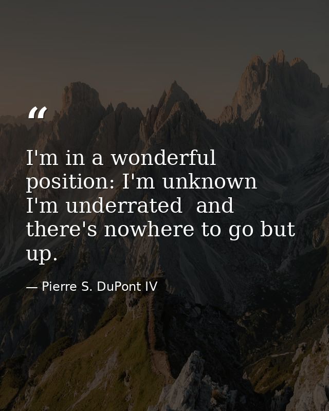 I'm in a wonderful position: I'm unknown  I'm underrated  and there's nowhere to go but up. — Pierre S. DuPont IV