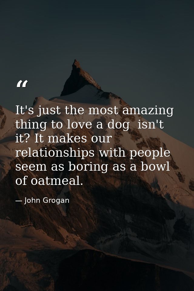It's just the most amazing thing to love a dog  isn't it? It makes our relationships with people seem as boring as a bow — John Grogan