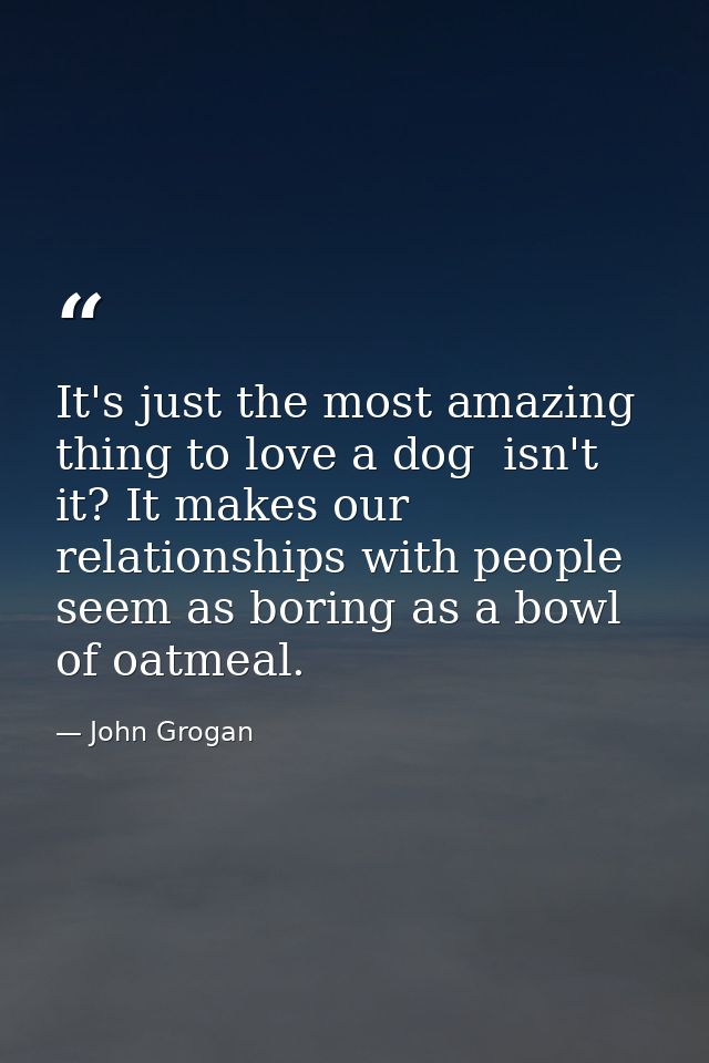It's just the most amazing thing to love a dog  isn't it? It makes our relationships with people seem as boring as a bow — John Grogan