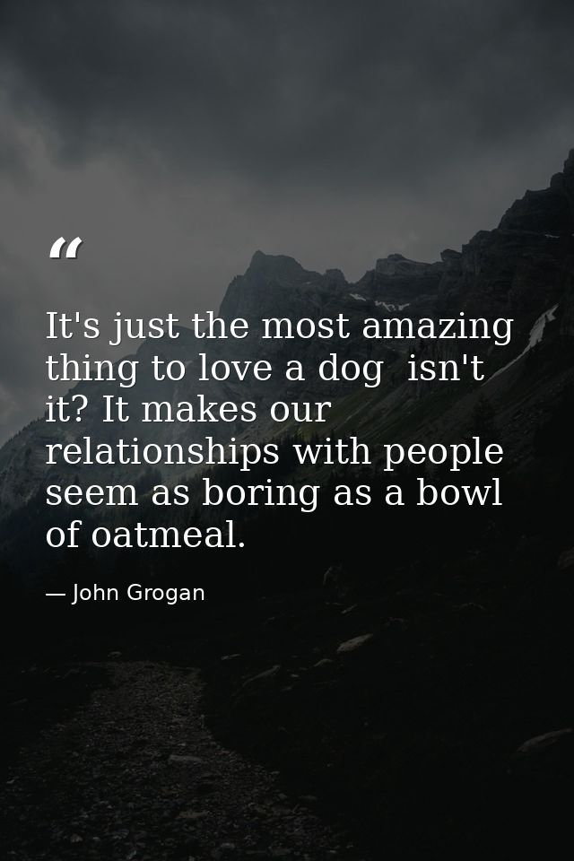 It's just the most amazing thing to love a dog  isn't it? It makes our relationships with people seem as boring as a bow — John Grogan