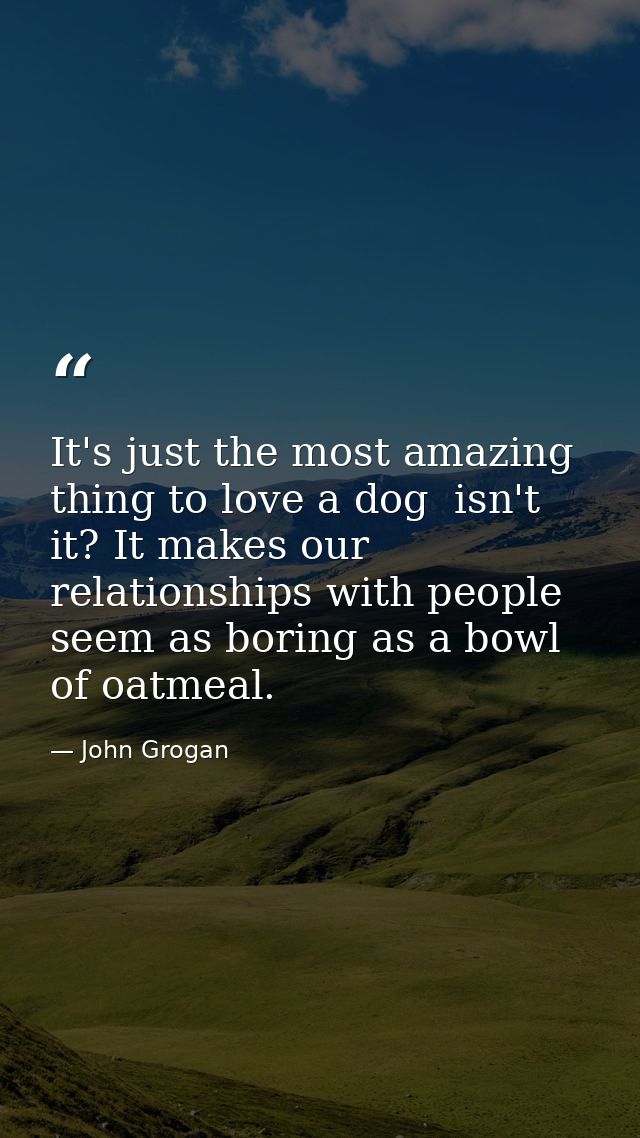 It's just the most amazing thing to love a dog  isn't it? It makes our relationships with people seem as boring as a bow — John Grogan