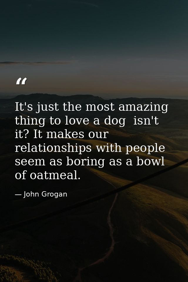 It's just the most amazing thing to love a dog  isn't it? It makes our relationships with people seem as boring as a bow — John Grogan