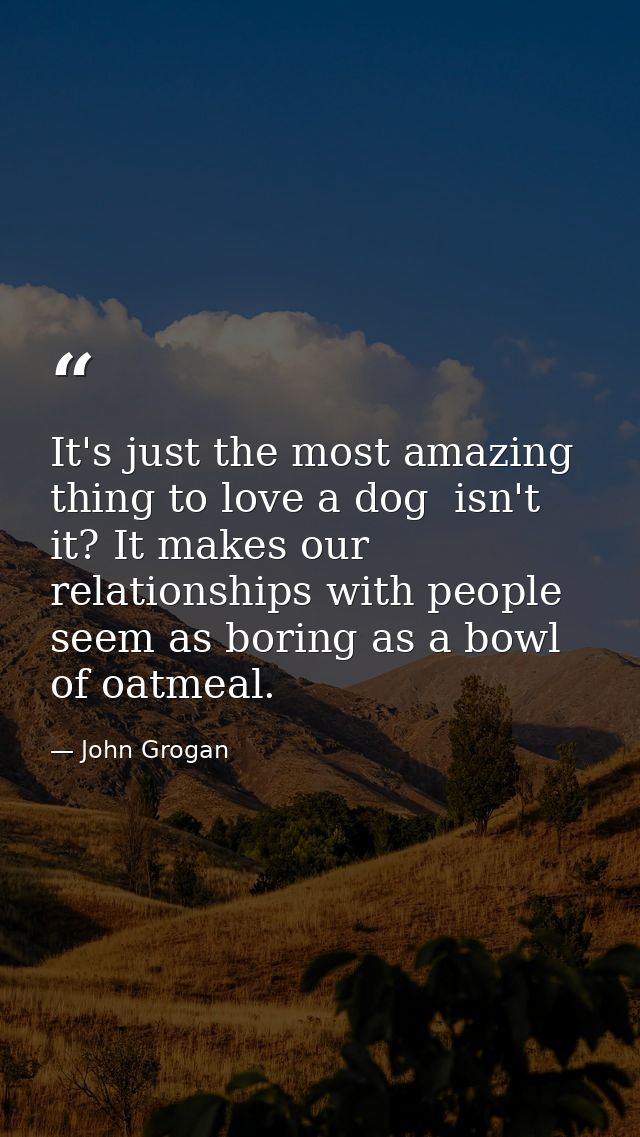 It's just the most amazing thing to love a dog  isn't it? It makes our relationships with people seem as boring as a bow — John Grogan
