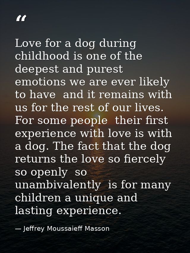 Love for a dog during childhood is one of the deepest and purest emotions we are ever likely to have  and it remains wit — Jeffrey Moussaieff Masson