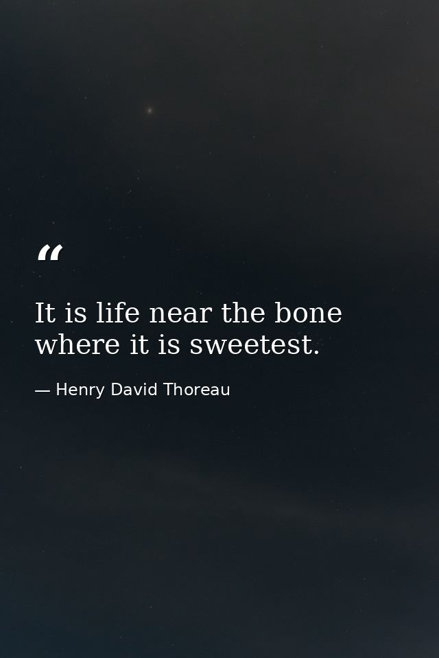 It is life near the bone  where it is sweetest. — Henry David Thoreau