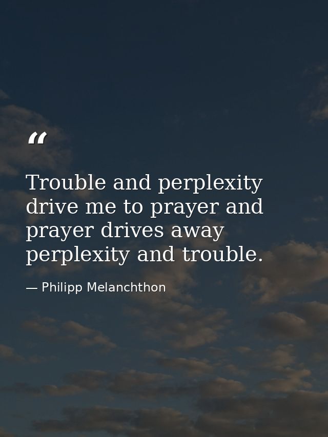 Trouble and perplexity drive me to prayer and prayer drives away perplexity and trouble. — Philipp Melanchthon