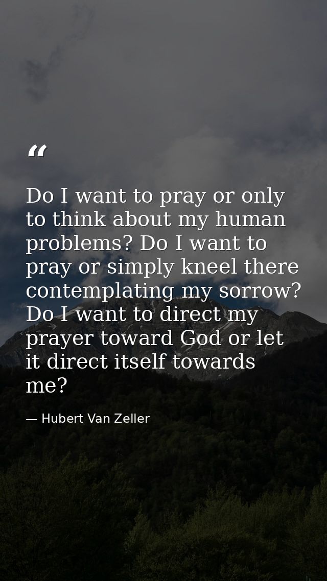 Do I want to pray or only to think about my human problems? Do I want to pray or simply kneel there contemplating my sor — Hubert Van Zeller
