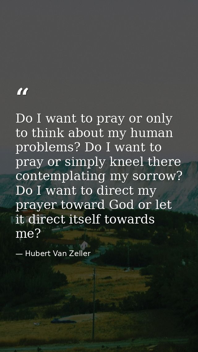 Do I want to pray or only to think about my human problems? Do I want to pray or simply kneel there contemplating my sor — Hubert Van Zeller