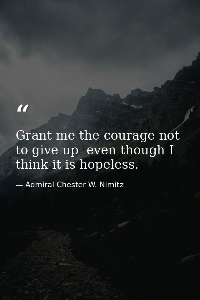 Grant me the courage not to give up  even though I think it is hopeless. — Admiral Chester W. Nimitz