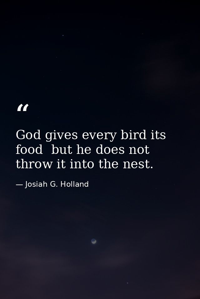 God gives every bird its food  but he does not throw it into the nest. — Josiah G. Holland