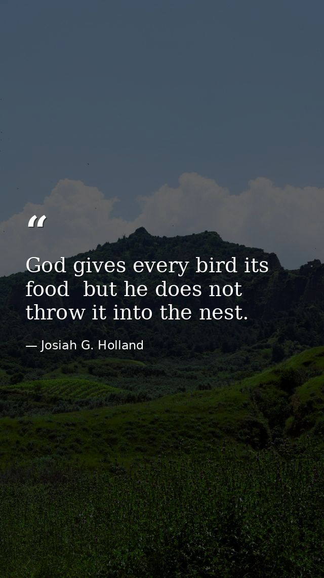 God gives every bird its food  but he does not throw it into the nest. — Josiah G. Holland