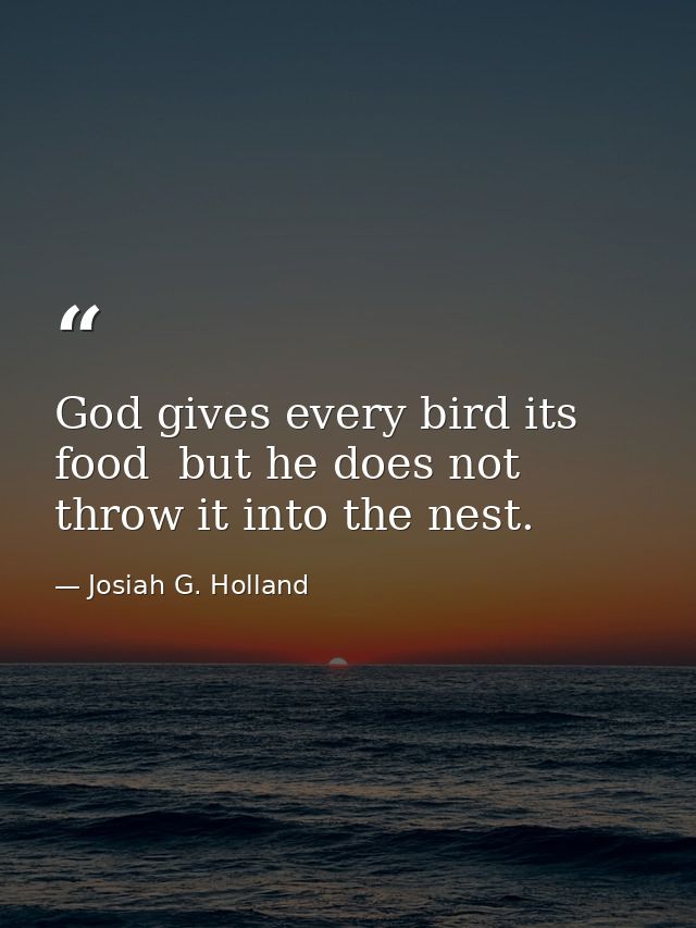 God gives every bird its food  but he does not throw it into the nest. — Josiah G. Holland