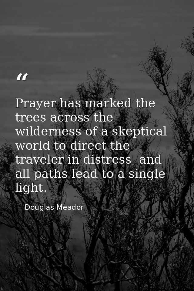 Prayer has marked the trees across the wilderness of a skeptical world to direct the traveler in distress  and all paths — Douglas Meador